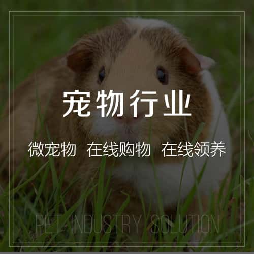 承德宠物