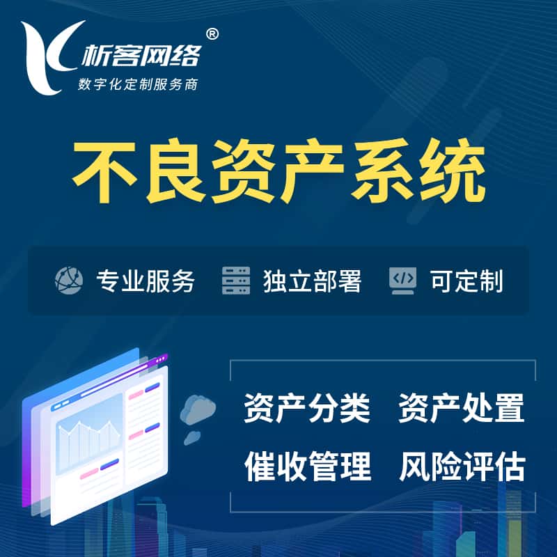 承德不良资产管理系统